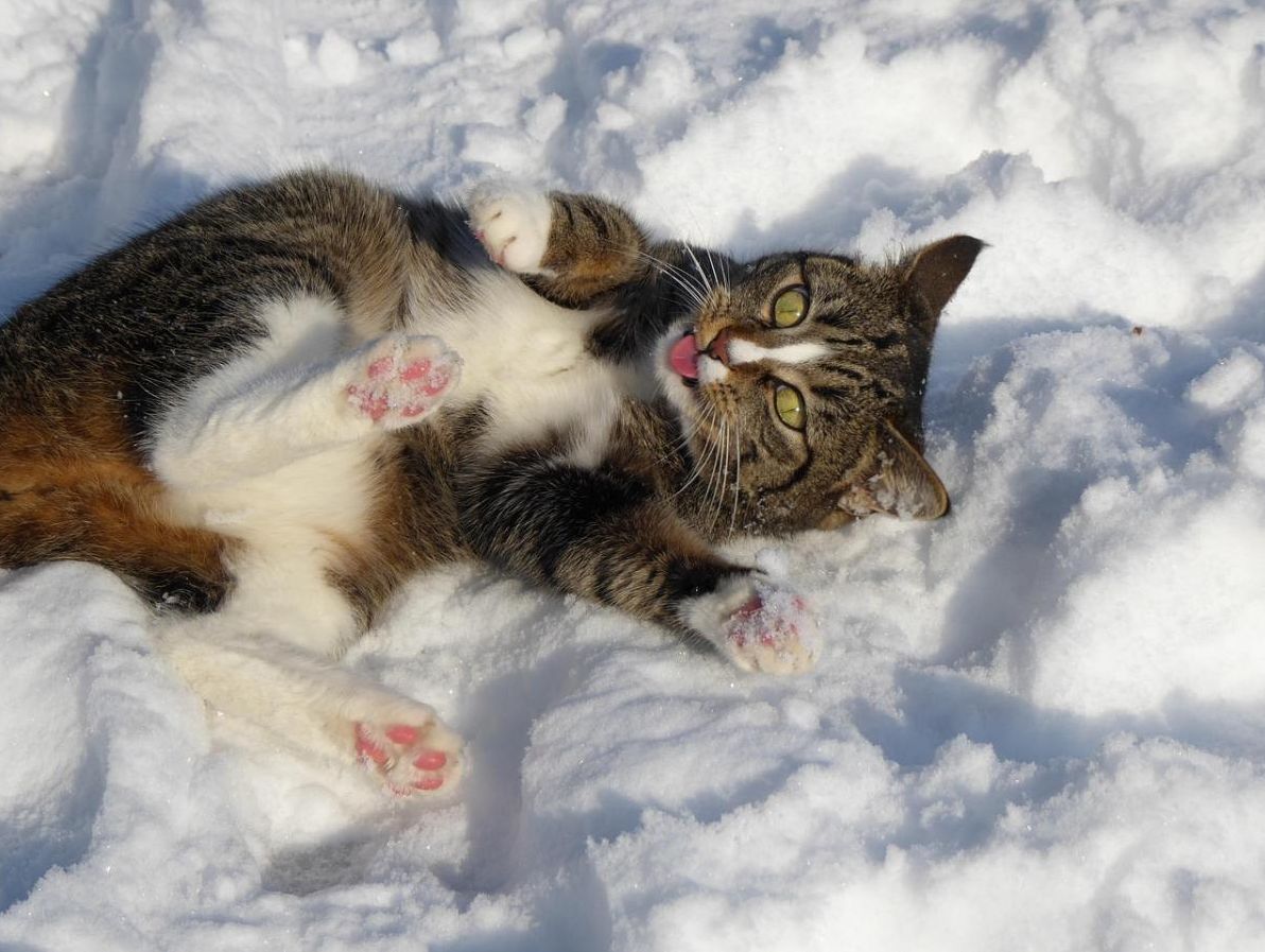 у-суботу-в-украіні-буде-тепло-синоптикиня-потішила-украінців-89816a11