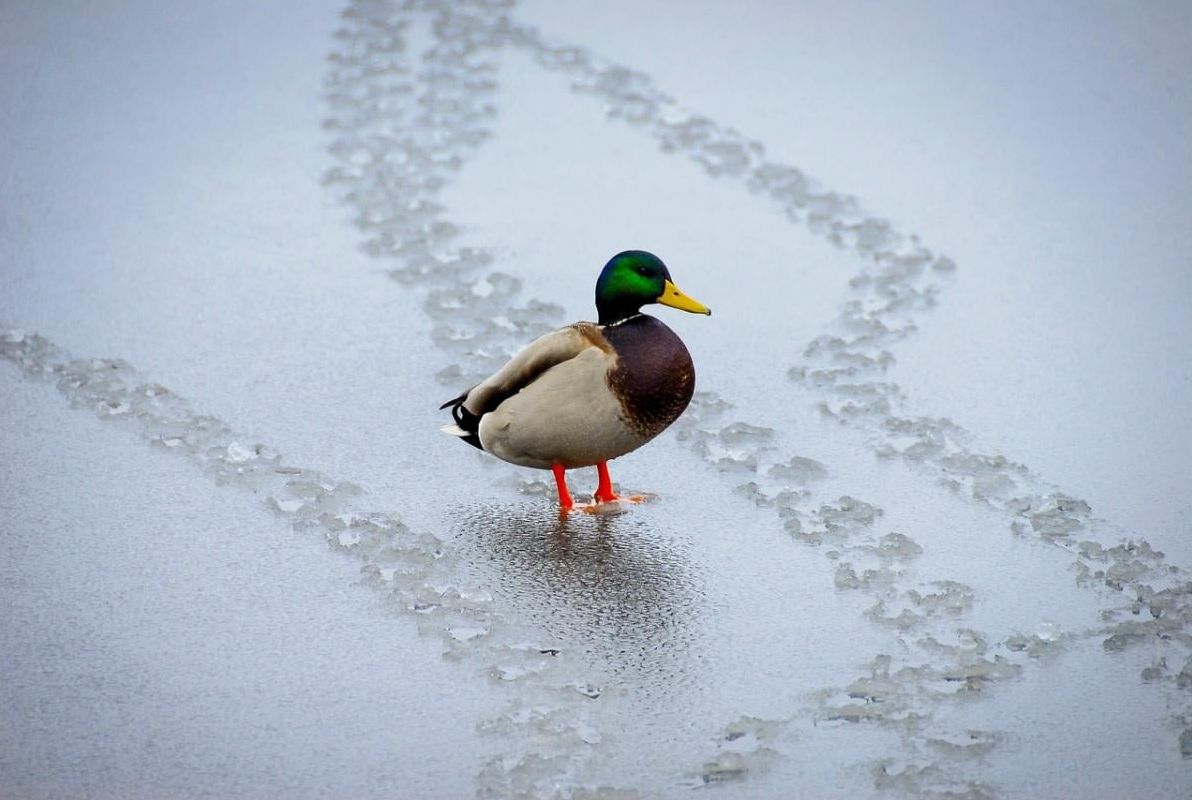укргідрометцентр-повідомив-як-зміниться-погода-наиближчими-д-0450da4f