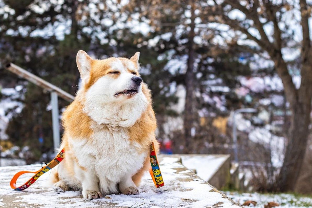 4-лютого-в-украіні-почнеться-потепління-але-є-нюанс-28a15cab