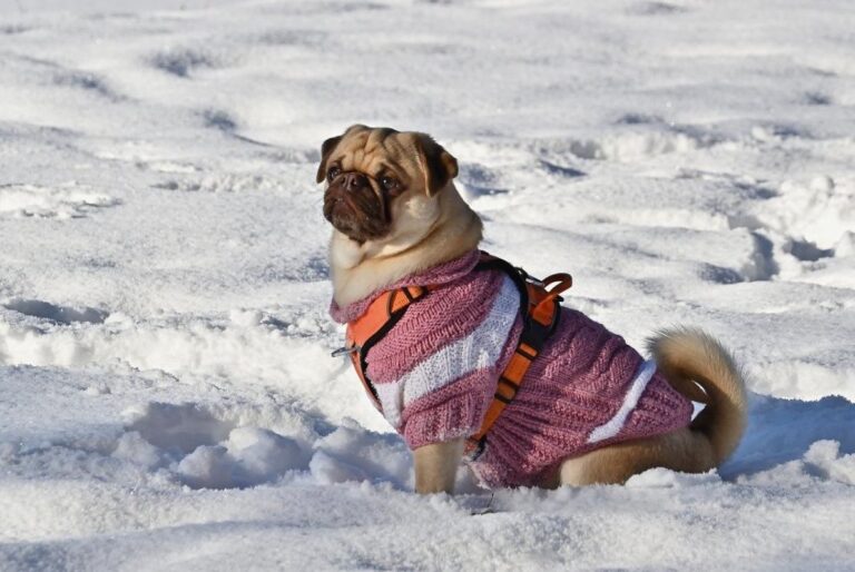 нове-похолодання-в-украіні-синоптикиня-повідомила-як-довго-щ-15f06eaf