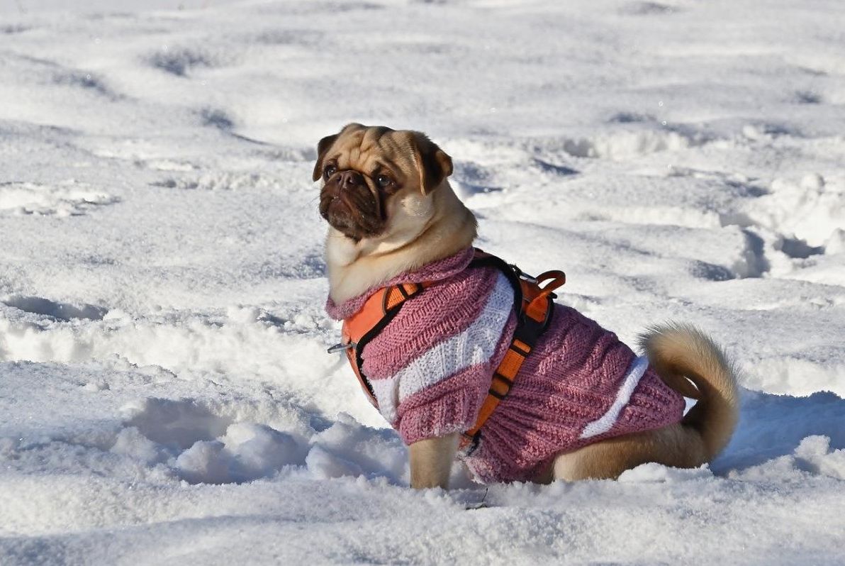 нове-похолодання-в-украіні-синоптикиня-повідомила-як-довго-щ-15f06eaf